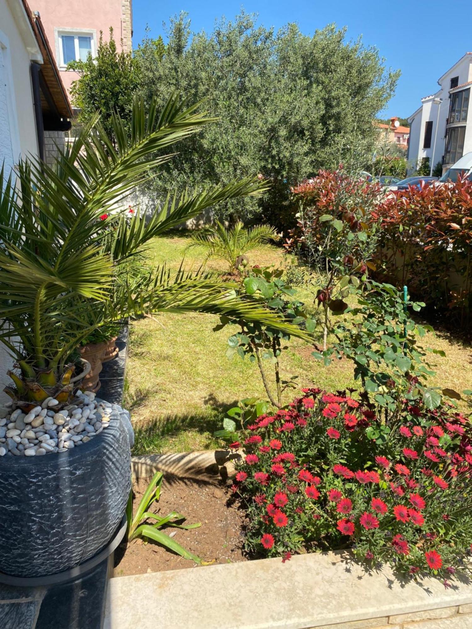 Summer House PUY מראה חיצוני תמונה